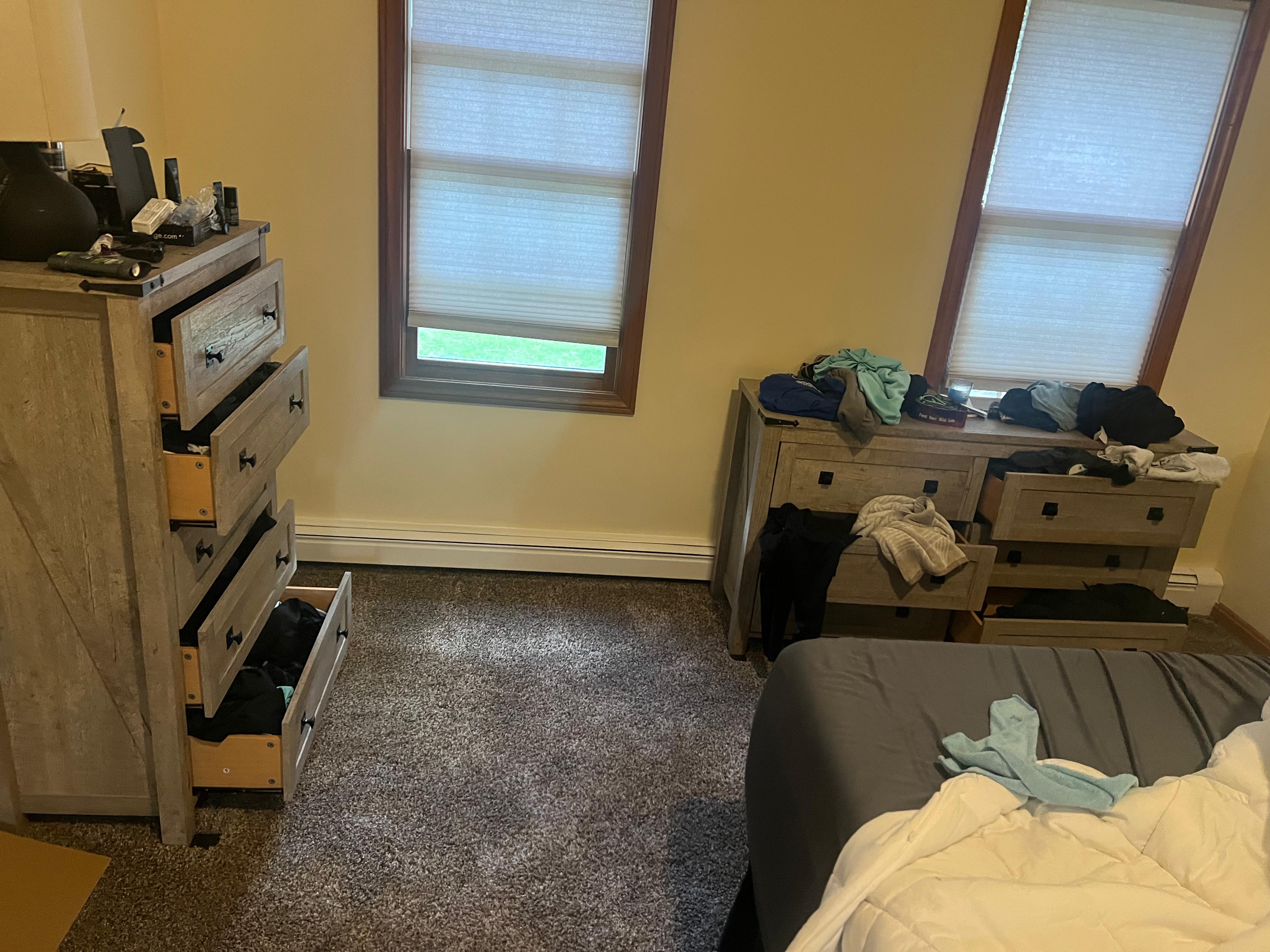 quarto - Before